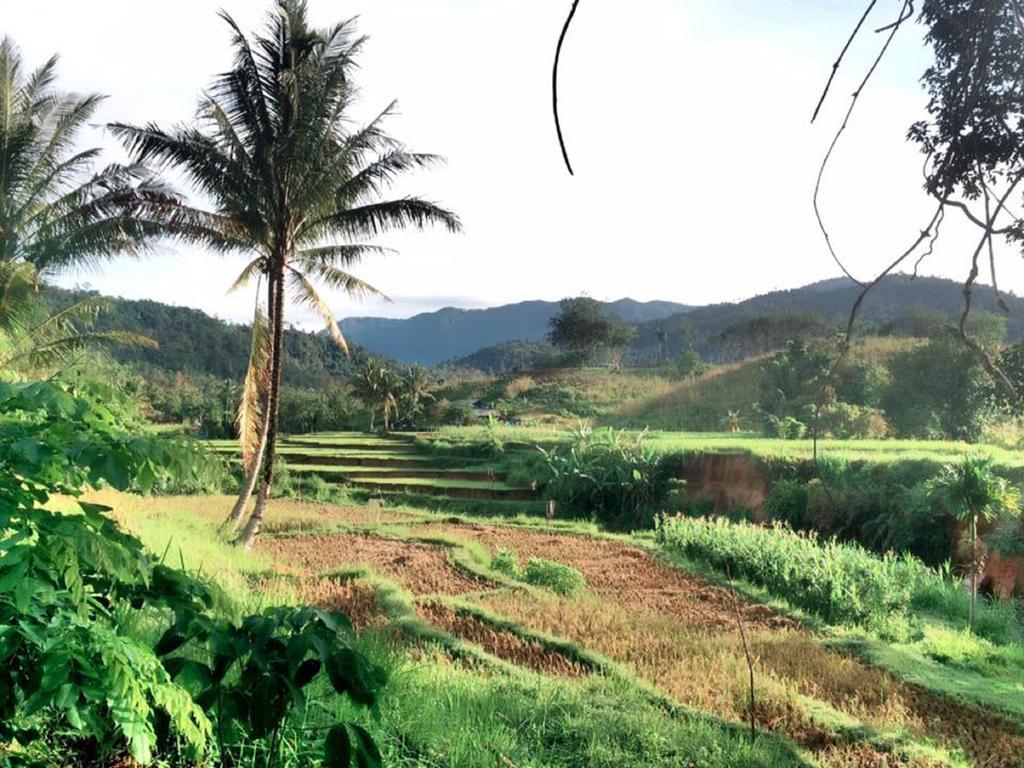Lorent La Villa Padang (Sumatra) Bagian luar foto